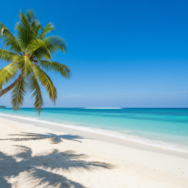 <h1>Island Fashion for Every Body</h1>