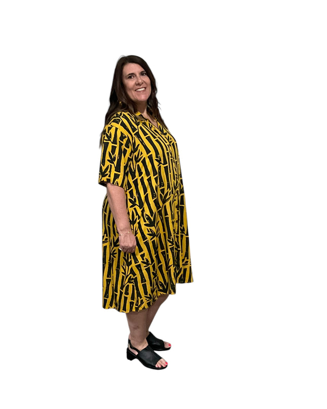 Rayon Button-Down Shirt Dress