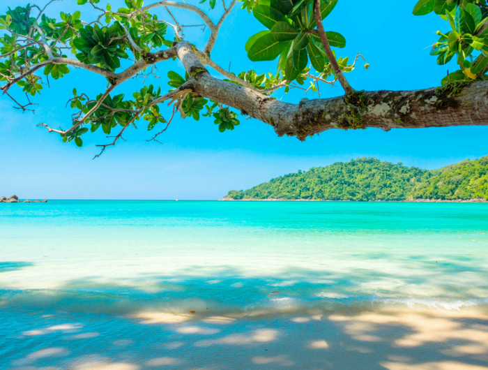 <h1>Island Finds on Special</h1>