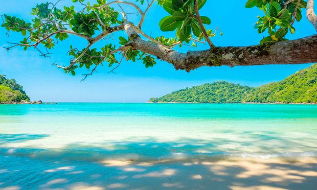 <h1>Island Fashion for Every Body</h1>